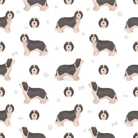Téléchargez les illustrations : Barbu Collie chien motif sans couture. Illustration vectorielle - en licence libre de droit