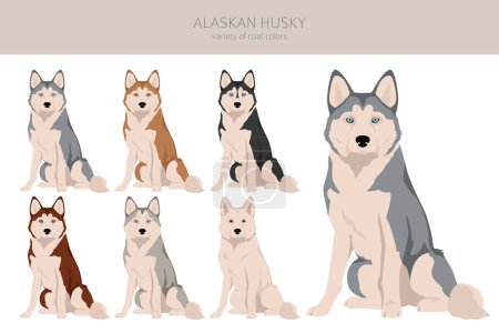 Ilustración de Clipart husky de Alaska. Distintas poses, colores del abrigo establecidos. Ilustración vectorial - Imagen libre de derechos