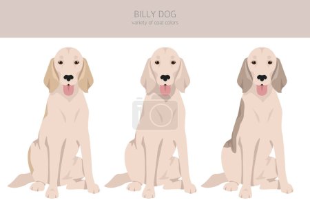 Ilustración de Billy perro clipart. Diferentes colores de capa y poses conjunto. Ilustración vectorial - Imagen libre de derechos