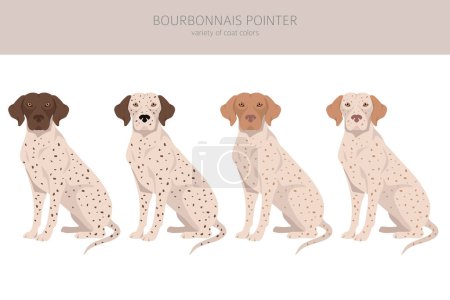 Ilustración de Bourbonnais puntero clipart. Diferentes colores de capa y poses conjunto. Ilustración vectorial - Imagen libre de derechos