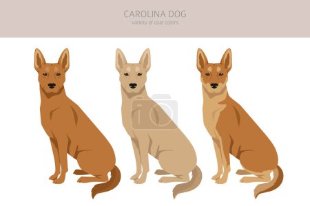 Ilustración de Clipart del perro Carolina. Distintas poses, colores del abrigo establecidos. Ilustración vectorial - Imagen libre de derechos