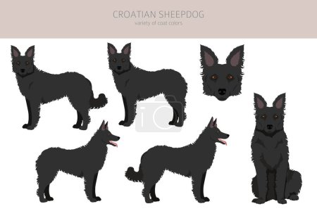 Ilustración de Croata Sheepdog clipart. Distintas poses, colores del abrigo establecidos. Ilustración vectorial - Imagen libre de derechos