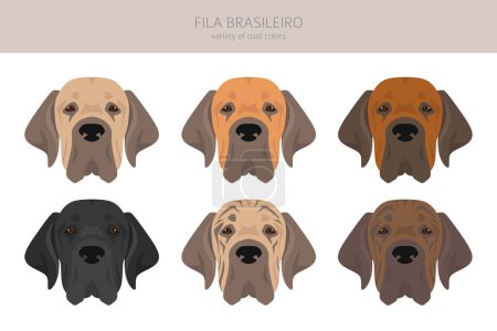 Illustration for Fila Brasileiro clipart. Different poses, coat colors set.  Vector illustration - Royalty Free Image