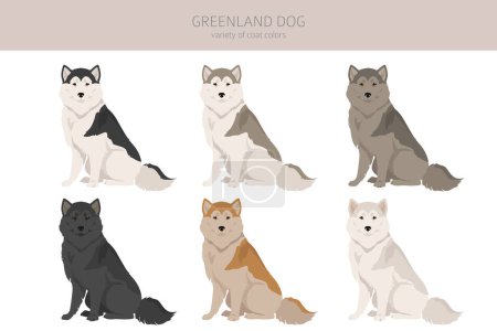 Illustration for Greenland dog clipart. Different poses, coat colors set.  Vector illustration - Royalty Free Image