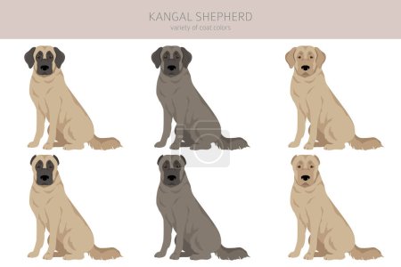 Kangal Shepherd dog clipart. Different coat colors set.  Vector illustration