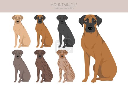 Illustration for Mountain Cur clipart. Different poses, coat colors set.  Vector illustration - Royalty Free Image