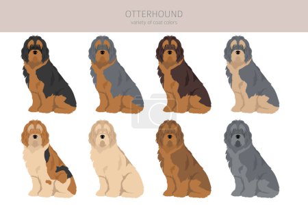 Ilustración de Clipart de Otterhound. Distintas poses, colores del abrigo establecidos. Ilustración vectorial - Imagen libre de derechos