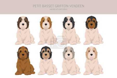 Ilustración de Petit Basset Griffon Vendeen clipart. Distintas poses, colores del abrigo establecidos. Ilustración vectorial - Imagen libre de derechos