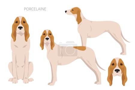 Ilustración de Porcelaine perro clipart. Distintas poses, colores del abrigo establecidos. Ilustración vectorial - Imagen libre de derechos