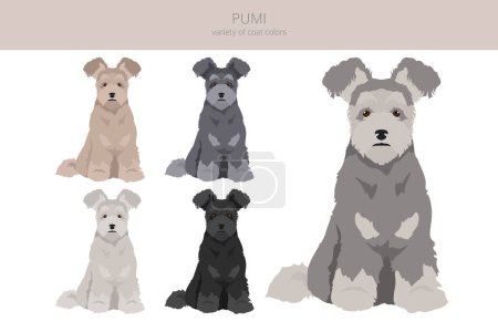 Illustration for Pumi clipart. Different poses, coat colors set.  Vector illustration - Royalty Free Image