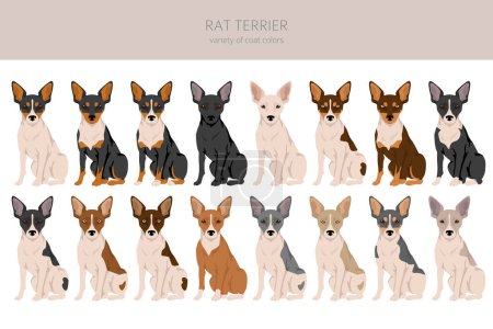 Ilustración de Clipart de terrier rata. Distintas poses, colores del abrigo establecidos. Ilustración vectorial - Imagen libre de derechos