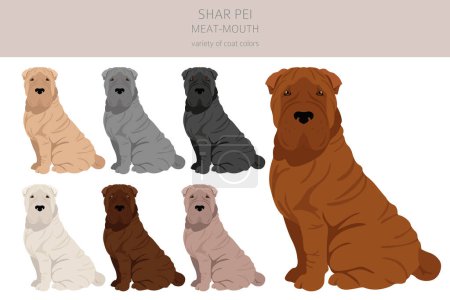 Téléchargez les illustrations : Shar Pei (modern) meat mouth clipart. Different poses, coat colors set.  Vector illustration - en licence libre de droit