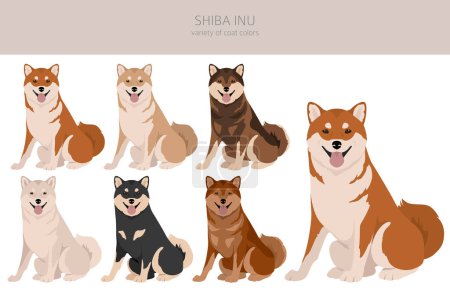 Ilustración de Shiba Inu, Japanese small size dog coat colors, different poses clipart.  Vector illustration - Imagen libre de derechos