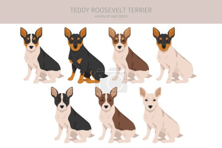 Illustration for Teddy Roosevelt terrier clipart. Different poses, coat colors set.  Vector illustration - Royalty Free Image