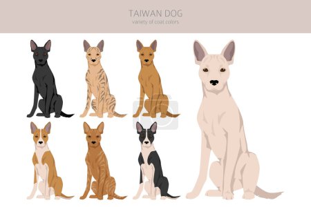 Ilustración de Clipart de perro de Taiwán. Distintas poses, colores del abrigo establecidos. Ilustración vectorial - Imagen libre de derechos