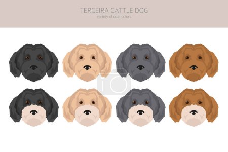 Ilustración de Terceira Ganado perro clipart. Distintas poses, colores del abrigo establecidos. Ilustración vectorial - Imagen libre de derechos
