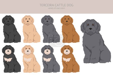 Ilustración de Terceira Ganado perro clipart. Distintas poses, colores del abrigo establecidos. Ilustración vectorial - Imagen libre de derechos