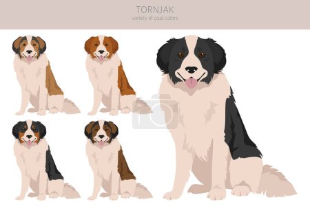Ilustración de Clipart de Tornjak. Distintas poses, colores del abrigo establecidos. Ilustración vectorial - Imagen libre de derechos