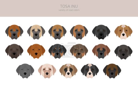 Ilustración de Tosa Inu clipart. Distintas poses, colores del abrigo establecidos. Ilustración vectorial - Imagen libre de derechos
