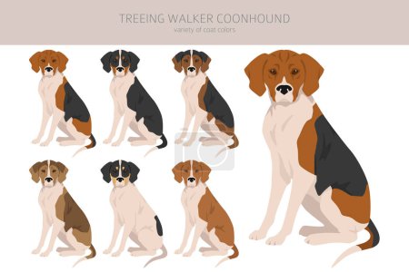 Ilustración de Treeing Walker coonhound clipart. Distintas poses, colores del abrigo establecidos. Ilustración vectorial - Imagen libre de derechos