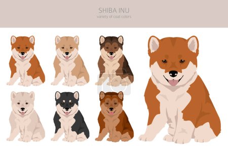 Ilustración de Shiba Inu cachorro, Japonés de pequeño tamaño perro abrigo colores, diferentes poses clipart. Ilustración vectorial - Imagen libre de derechos