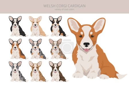 Ilustración de Galés corgi cárdigan cachorro clipart. Distintas poses, colores del abrigo establecidos. Ilustración vectorial - Imagen libre de derechos