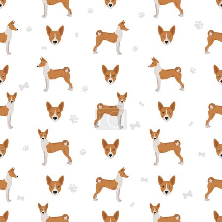 Illustration for Basenji all colours seamless pattern. Different coat colors and poses set.  Vector illustration - Royalty Free Image