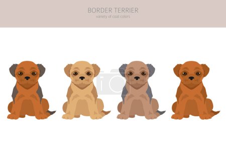 Border terrier puppies clipart. Different coat colors and poses set.  Vector illustration