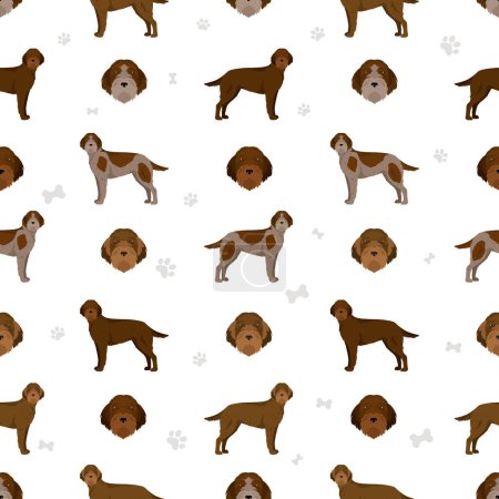 Illustration for Bohemian wirehaired Pointing Griffon seamless pattern. Different coat colors and poses set.  Vector illustration - Royalty Free Image