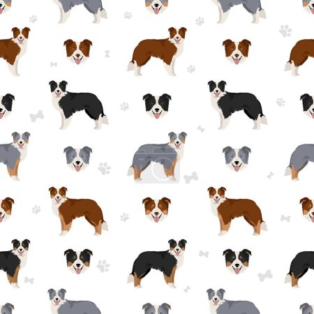 Téléchargez les illustrations : Border collie dog seamless pattern. Vector illustration - en licence libre de droit