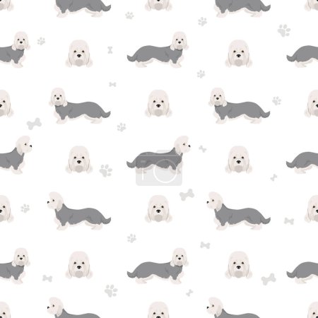 Illustration for Dandie dinmont terrier seamless pattern. Different poses, coat colors set.  Vector illustration - Royalty Free Image