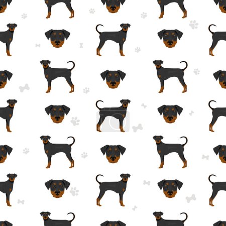 Illustration for Doberman pinscher dogs seamless pattern. Different poses, coat colors set.  Vector illustration - Royalty Free Image