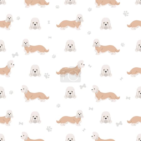 Illustration for Dandie dinmont terrier seamless pattern. Different poses, coat colors set.  Vector illustration - Royalty Free Image