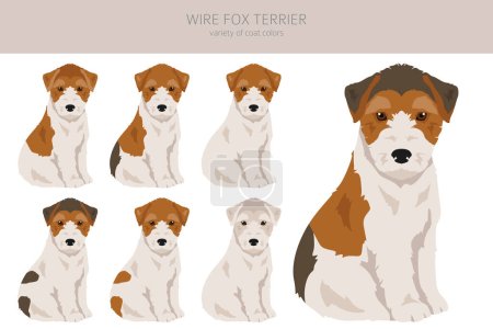 Illustration for Wire fox terrier puppies clipart. Different poses, coat colors set.  Vector illustration - Royalty Free Image