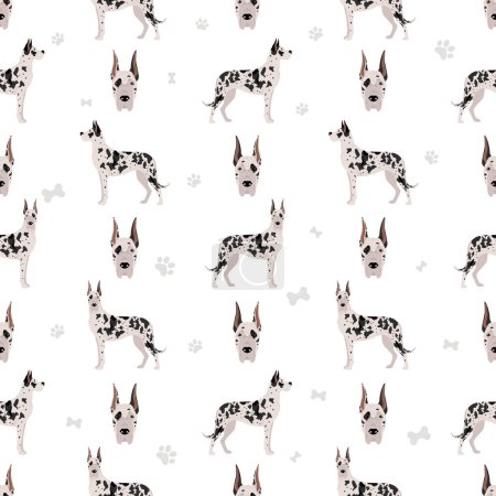 Illustration for Great dane seamless pattern. Different variaties of coat color dog set.  Vector illustration - Royalty Free Image