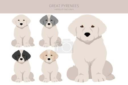 Ilustración de Grandes Pirineos cachorros clipart. Distintas poses, colores del abrigo establecidos. Ilustración vectorial - Imagen libre de derechos