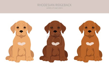 Ilustración de Rhodesian ridgeback cachorro clipart. Distintas poses, colores del abrigo establecidos. Ilustración vectorial - Imagen libre de derechos