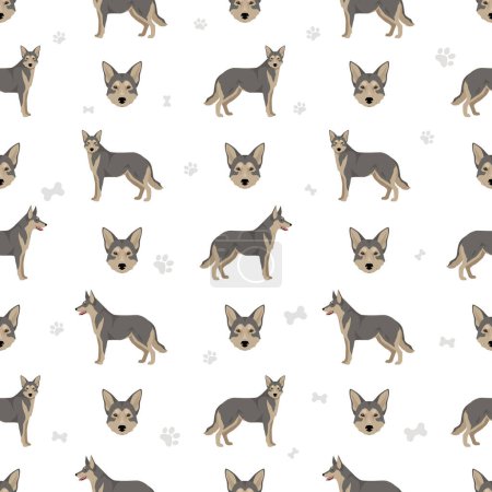 Illustration for Saarloos Wolfdog seamless pattern. All coat colors set.  All dog breeds characteristics infographic. Vector illustration - Royalty Free Image