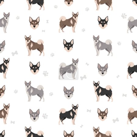 Illustration for Swedish Elkhound seamless pattern. All coat colors set.  All dog breeds characteristics infographic. Vector illustration - Royalty Free Image