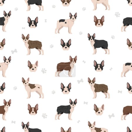 Illustration for Frenchton seamless pattern. French bulldog Boston terrier mix. Different coat colors set.  Vector illustration - Royalty Free Image