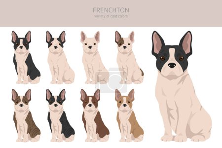 Frenchton clipart. French bulldog Boston terrier mix. Different coat colors set.  Vector illustration