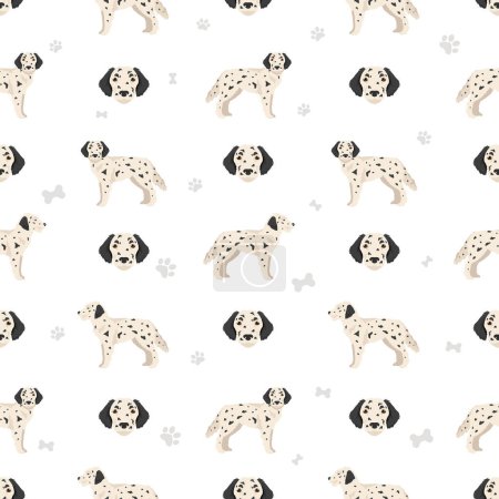 Illustration for Dalmadoodle seamless pattern. Dalmatian Poodle mix. Different coat colors set.  Vector illustration - Royalty Free Image