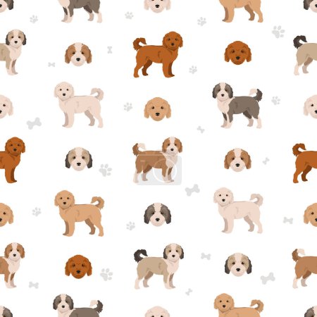 Illustration for Havapoo seamless pattern. Havanese Poodle mix. Different coat colors set.  Vector illustration - Royalty Free Image