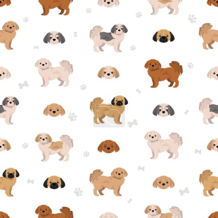 Illustration for Peekapoo seamless pattern. Pekingese Poodle mix. Different coat colors set.  Vector illustration - Royalty Free Image