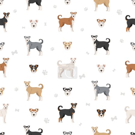 Illustration for Pitsky seamless pattern. Pit bull terrier Siberian Husky mix. Different coat colors set.  Vector illustration - Royalty Free Image