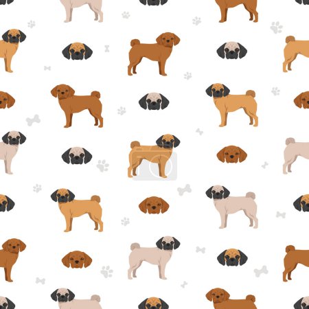 Illustration for Puggle seamless pattern. Pug beagle mix. Different coat colors set.  Vector illustration - Royalty Free Image