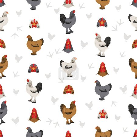 Illustration for Brahma Chicken breeds seamless pattern. Poultry and farm animals. Different colors set.  Vector illustration - Royalty Free Image