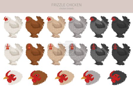 Ilustración de Frizzle Chicken crianzas clipart. Aves y animales de granja. Diferentes colores. Ilustración vectorial - Imagen libre de derechos