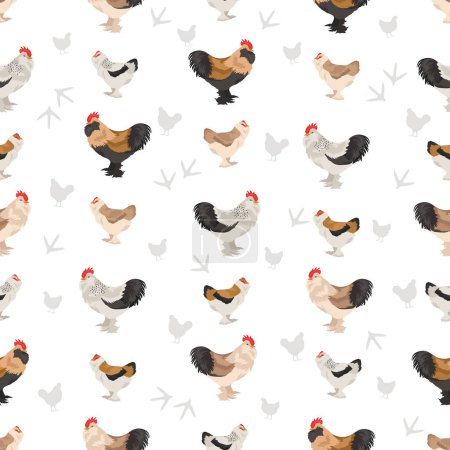 Ilustración de Faverolles Razas de pollo patrón sin costuras. Aves y animales de granja. Diferentes colores. Ilustración vectorial - Imagen libre de derechos