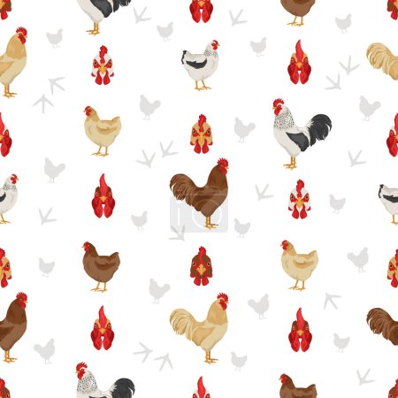 Téléchargez les illustrations : Plymouth Rock Chicken se reproduit motif sans couture. Volaille et animaux de ferme. Couleurs différentes. Illustration vectorielle - en licence libre de droit
